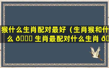 猴什么生肖配对最好（生肖猴和什么 🐈 生肖最配对什么生肖 🐒 最旺猴）